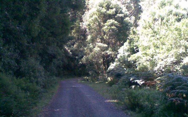 Mt Macedon Madness