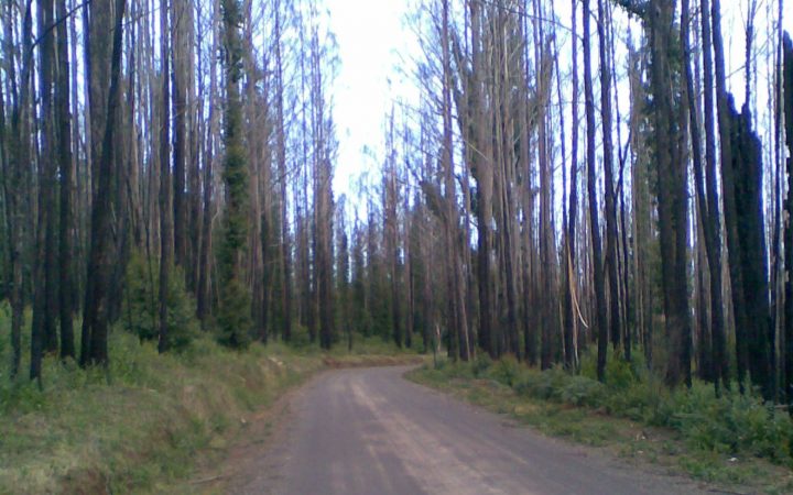 Disappointment Hills