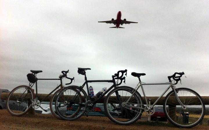 The Wombats That Ate Lancefield