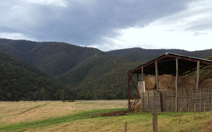 Traralgon to Bright – DAY 2