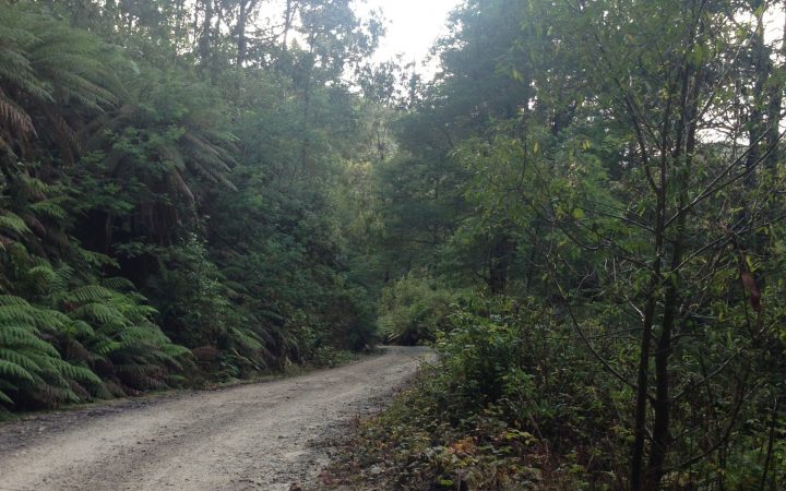 Almost Tali Karng, Part 2