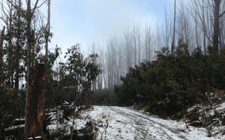 Keppel Hut Snow Ride