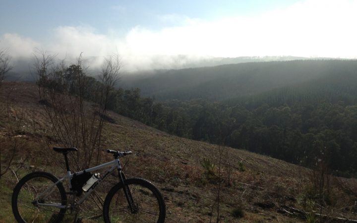 Hazeldene Pastie Run